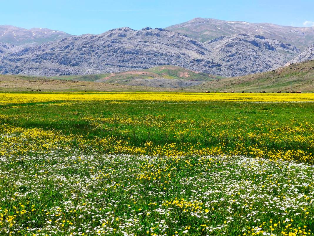 Konya’nın cennet köşesi baharı böyle karşıladı 4